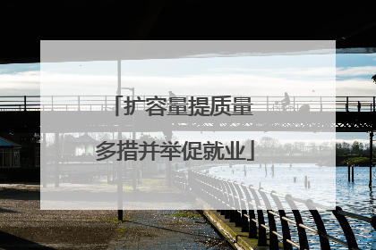 扩容量提质量 多措并举促就业