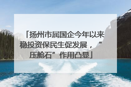 扬州市属国企今年以来稳投资保民生促发展，“压舱石”作用凸显