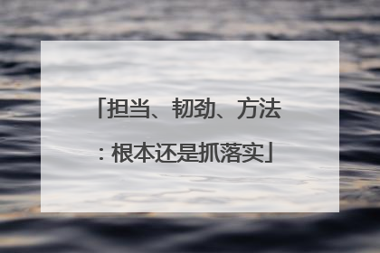 担当、韧劲、方法：根本还是抓落实