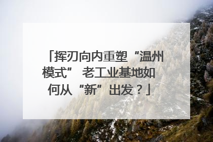 挥刃向内重塑“温州模式” 老工业基地如何从“新”出发？