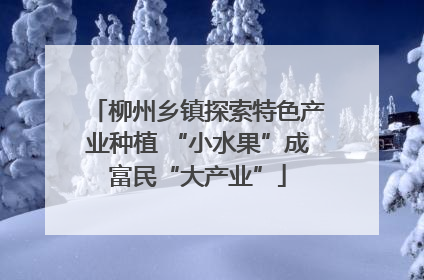 柳州乡镇探索特色产业种植 “小水果”成富民“大产业”