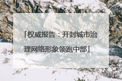 权威报告：开封城市治理网络形象领跑中部