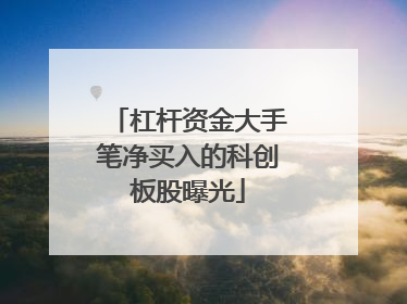 杠杆资金大手笔净买入的科创板股曝光