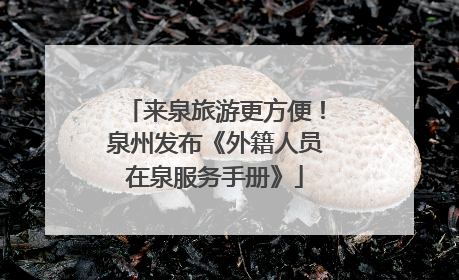 来泉旅游更方便！泉州发布《外籍人员在泉服务手册》