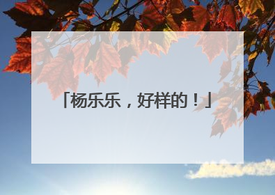杨乐乐，好样的！