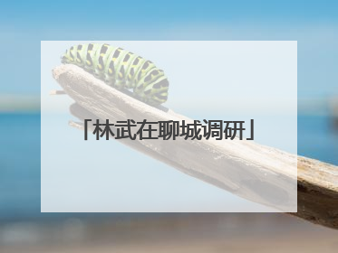 林武在聊城调研