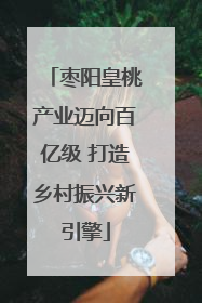 枣阳皇桃产业迈向百亿级 打造乡村振兴新引擎