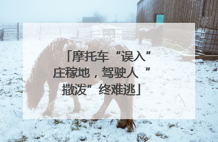 摩托车“误入”庄稼地，驾驶人“撒泼”终难逃