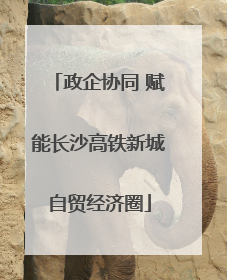政企协同 赋能长沙高铁新城自贸经济圈