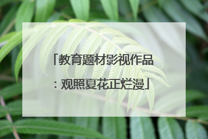 教育题材影视作品：观照夏花正烂漫