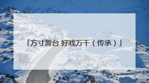方寸舞台 好戏万千（传承）