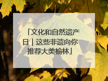 文化和自然遗产日｜这些非遗向你推荐大美榆林
