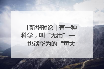 新华时论｜有一种科学，叫“无用”——也谈华为的“黄大年茶思屋”
