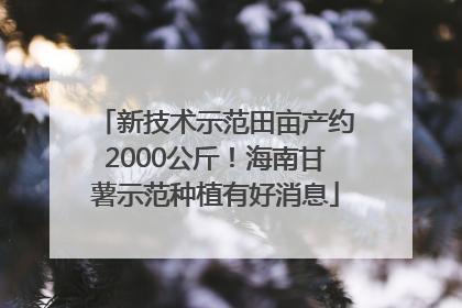 新技术示范田亩产约2000公斤！海南甘薯示范种植有好消息