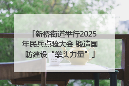 新桥街道举行2025年民兵点验大会 锻造国防建设“拳头力量”