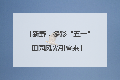 新野：多彩“五一” 田园风光引客来