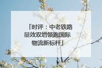 时评：中老铁路量效双增领跑国际物流新标杆