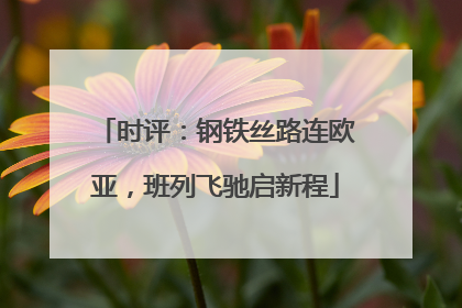 时评：钢铁丝路连欧亚，班列飞驰启新程