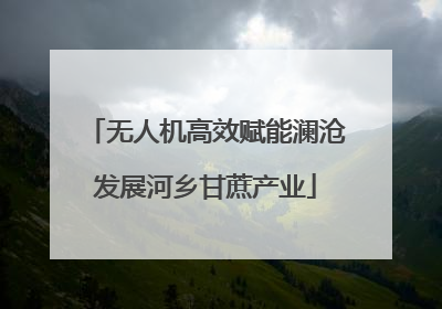 无人机高效赋能澜沧发展河乡甘蔗产业