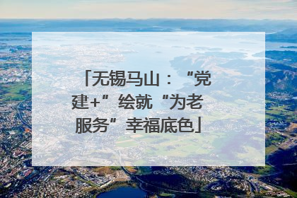 无锡马山：“党建+”绘就“为老服务”幸福底色