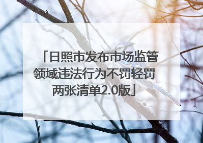 日照市发布市场监管领域违法行为不罚轻罚两张清单2.0版
