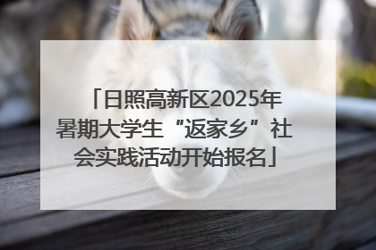 日照高新区2025年暑期大学生“返家乡”社会实践活动开始报名
