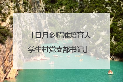 日月乡精准培育大学生村党支部书记
