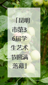 昆明市第36届学生艺术节圆满落幕