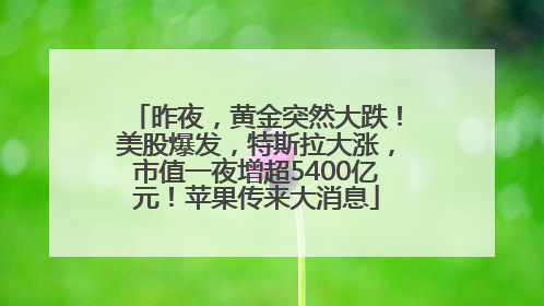 昨夜，黄金突然大跌！美股爆发，特斯拉大涨，市值一夜增超5400亿元！苹果传来大消息