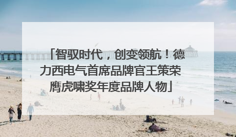 智驭时代，创变领航！德力西电气首席品牌官王策荣膺虎啸奖年度品牌人物