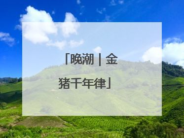 晚潮｜金猪千年律