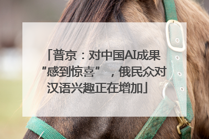 普京：对中国AI成果“感到惊喜”，俄民众对汉语兴趣正在增加