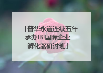 普华永道连续五年承办IBI国际企业孵化器研讨班