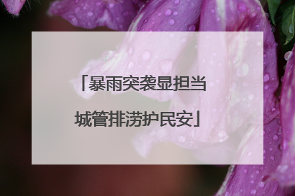 暴雨突袭显担当 城管排涝护民安