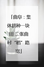 曲阜：集体耕种一块田 二张曲村“稻”路宽