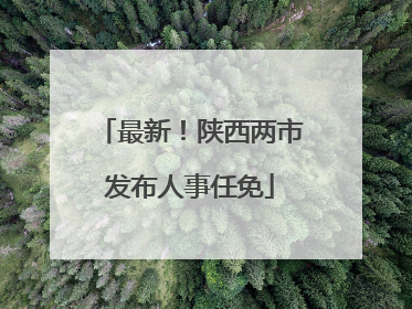 最新！陕西两市发布人事任免