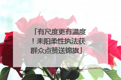 有尺度更有温度！耒阳柔性执法获群众点赞送锦旗