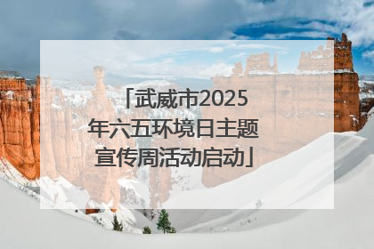 武威市2025年六五环境日主题宣传周活动启动