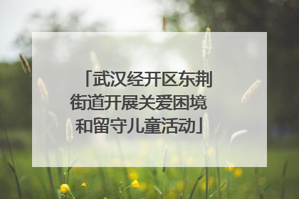 武汉经开区东荆街道开展关爱困境和留守儿童活动