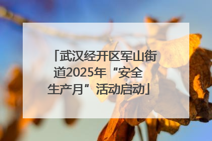 武汉经开区军山街道2025年“安全生产月”活动启动