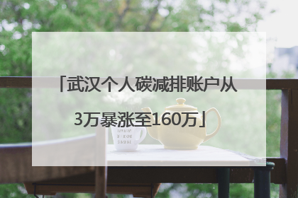 武汉个人碳减排账户从3万暴涨至160万