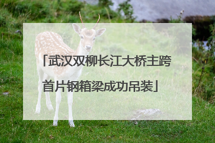 武汉双柳长江大桥主跨首片钢箱梁成功吊装