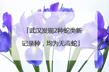 武汉发现2种蛇类新记录种，均为无毒蛇