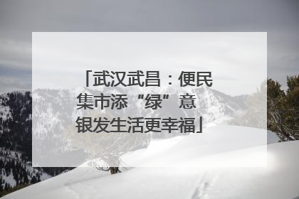 武汉武昌：便民集市添“绿”意 银发生活更幸福