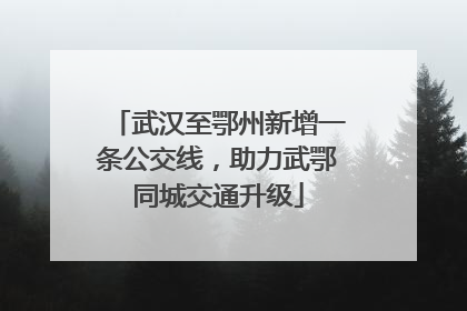 武汉至鄂州新增一条公交线，助力武鄂同城交通升级