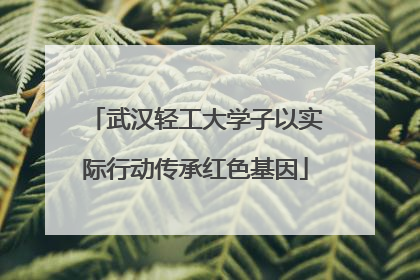 武汉轻工大学子以实际行动传承红色基因