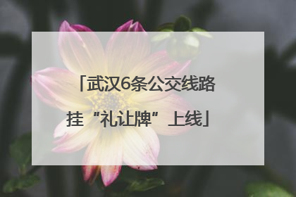 武汉6条公交线路挂“礼让牌”上线