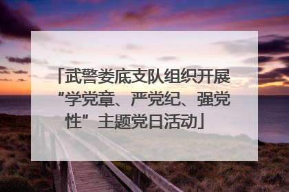 武警娄底支队组织开展“学党章、严党纪、强党性”主题党日活动