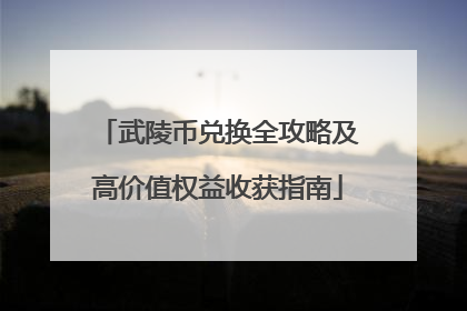 武陵币兑换全攻略及高价值权益收获指南