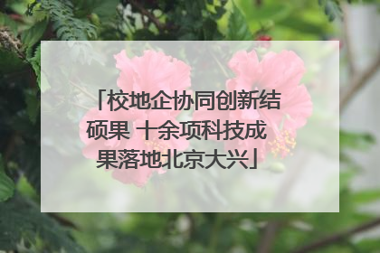 校地企协同创新结硕果 十余项科技成果落地北京大兴